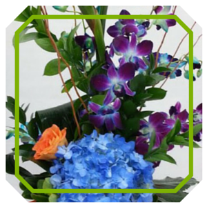 Everyday flowers 